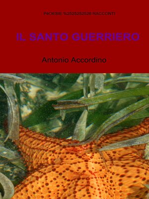 cover image of IL SANTO GUERRIERO